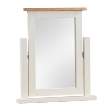 Bristol Painted Single Vanity Mirror