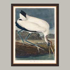 Artwork Wood Ibis