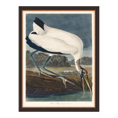 Artwork Wood Ibis