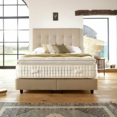 Harrison Mardi Gras Pillowtop 14000 Turn Free Divan set