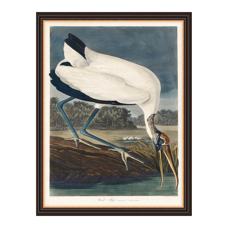 Artwork Wood Ibis