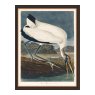 Artwork Wood Ibis