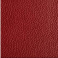 Longlife Soft Coralle