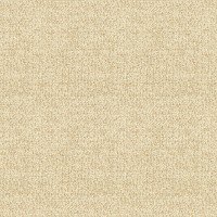 A - Boucle Oyster - 1041-51