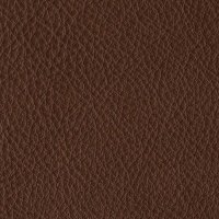 Capri Oak - P210