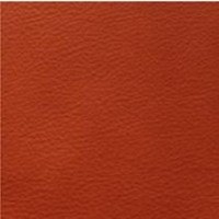 Longlife Orange